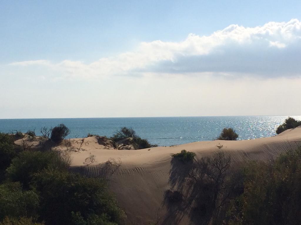 Le Dune Residence Santa Maria Del Focallo Zewnętrze zdjęcie